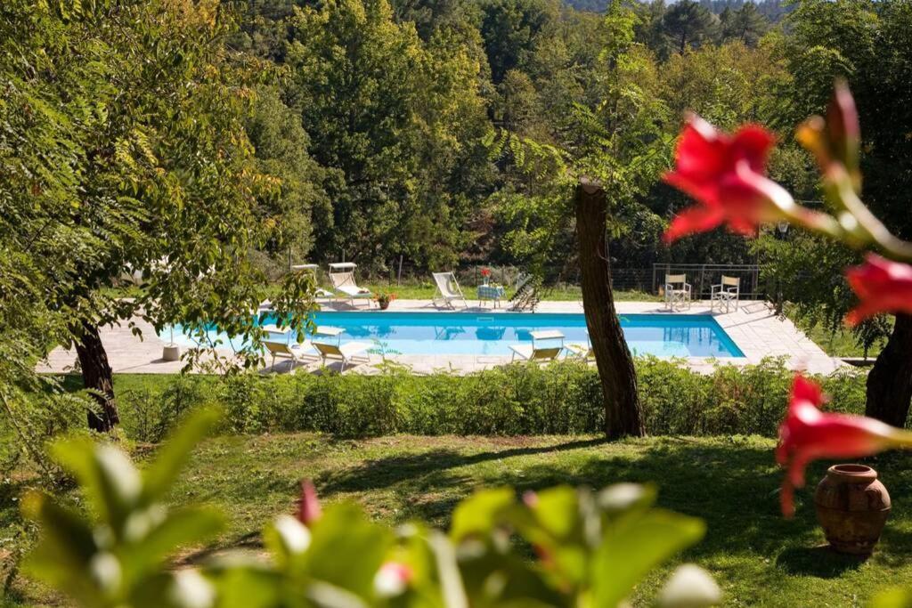 Villa Liz Tuscany, Private Pool, Hot Tub, Property Fenced, Pets Allowed Poppi Eksteriør billede
