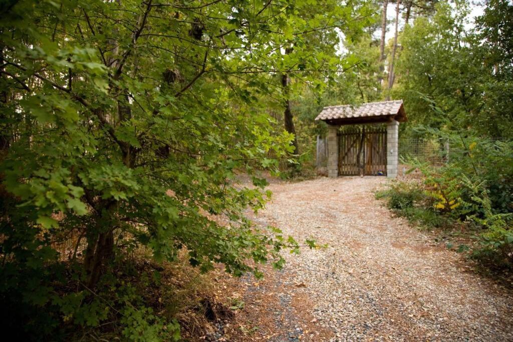 Villa Liz Tuscany, Private Pool, Hot Tub, Property Fenced, Pets Allowed Poppi Eksteriør billede