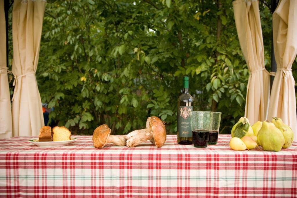 Villa Liz Tuscany, Private Pool, Hot Tub, Property Fenced, Pets Allowed Poppi Eksteriør billede
