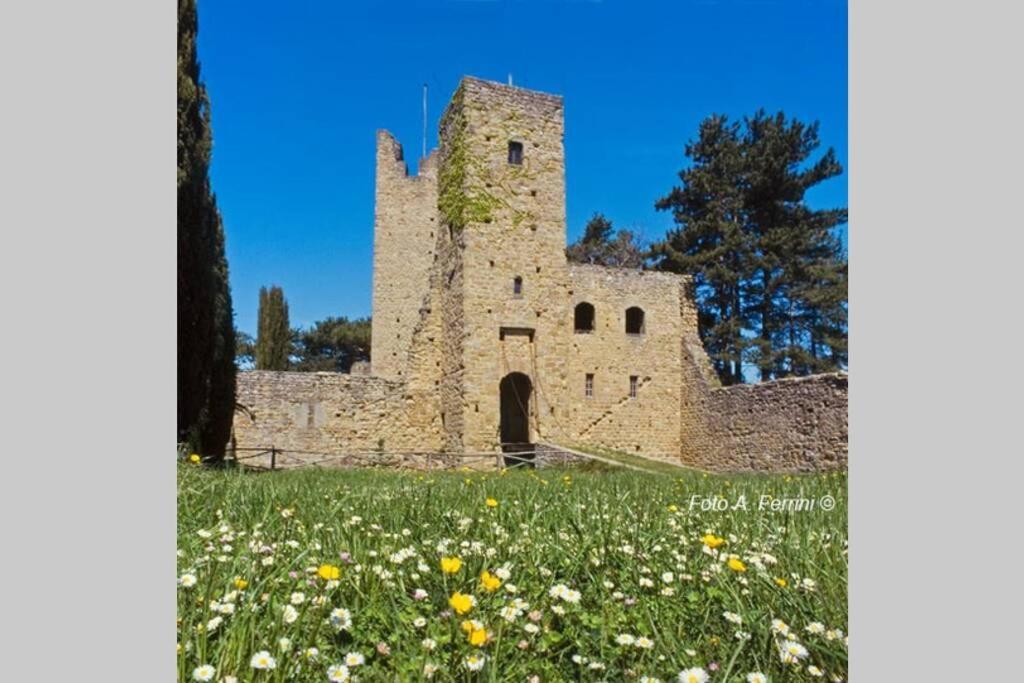 Villa Liz Tuscany, Private Pool, Hot Tub, Property Fenced, Pets Allowed Poppi Eksteriør billede