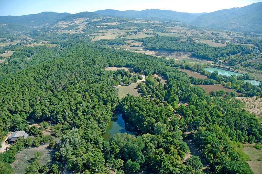 Villa Liz Tuscany, Private Pool, Hot Tub, Property Fenced, Pets Allowed Poppi Eksteriør billede